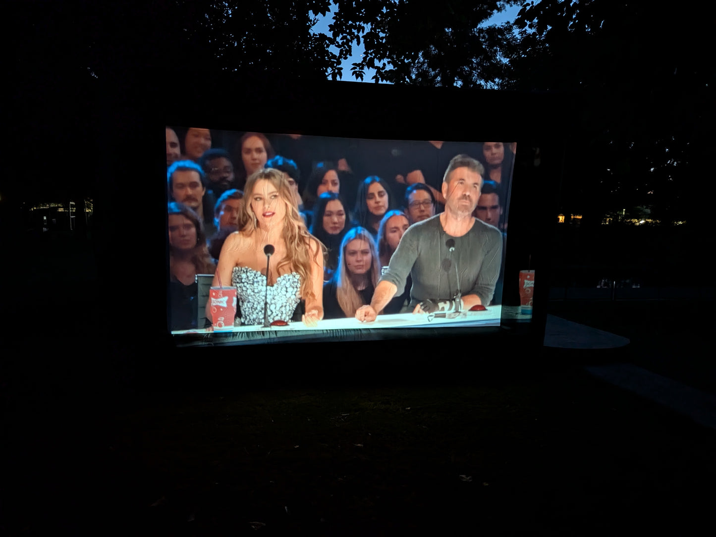 Outdoor Movie/Gaming night